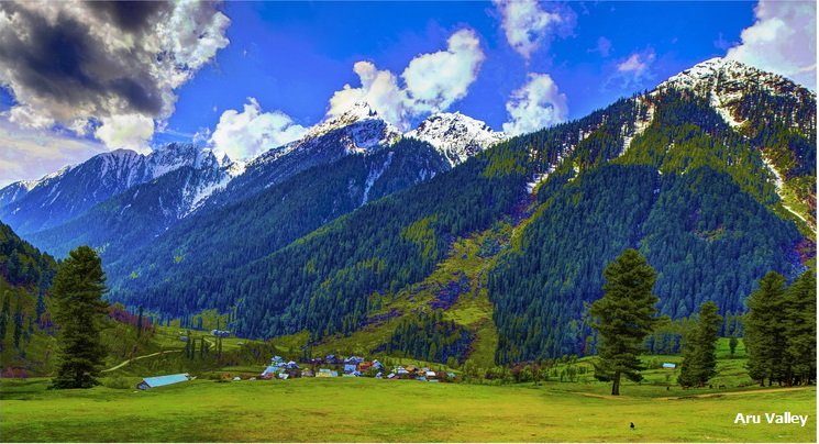 Traveltoexplore Srinagar Package